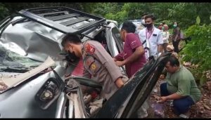 Tumbang! Pohon Dijalan Liku Sembilan Memakan Korban Jiwa